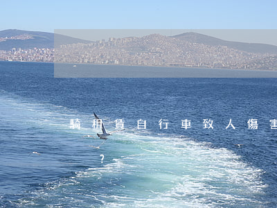 騎租賃自行車致人傷害保險公司賠不賠？